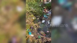 Horse successfully rescued from drowning in deep well in central India