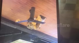 Naked British tourist, 51, 'covered in excrement' falls from hotel balcony Thai 'Sin City' Pattaya