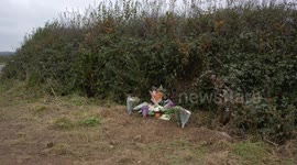 Teenager dies and six other injured in car crash at crossroads