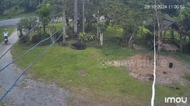Farmer races outside to rescue tethered buffalo stuck in hole