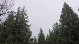 Canada: Extreme Winds and Heavy Rain Hit Metro Vancouver