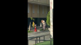 Swarm of bees attack locals crossing street in Colombia