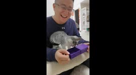 Cat left stunned by Chinese owner's magic trick