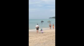 British tourists run for cover when massive python swims through sea on Thai beach
