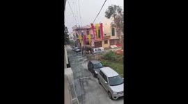 Herd of elephants amble through village in India