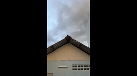 Pet cat sits in awkward position between roof slopes