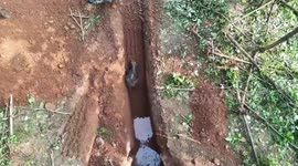 Elephant calf rescued from abandoned well by brave forest officials in eastern India