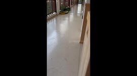 Kid startled by parent in Zhejiang province video