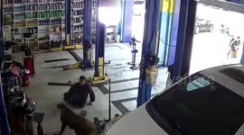 Wild boar attacks car repair shop worker before rampaging couple's home