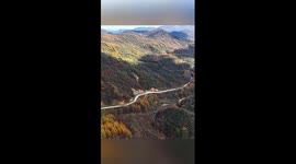 Dazzling autumn colors paint forests in SW China