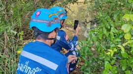 Tourist rescued 'after furious German boyfriend dumps her in mangrove forest' in Thailand