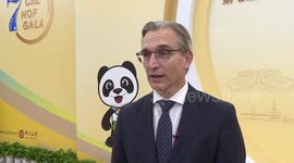 Global exhibitors eye opportunities as China import expo opens