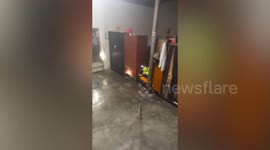 Massive cobra caught in family's bedroom