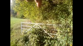 Bucks bucks cat during day time the location in Buckinghamshire near the M40