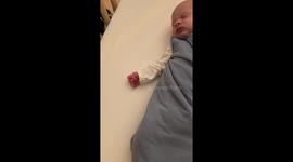 Exclusive - Adorable cat and baby introduction video sweeps tiktok with 10 million views