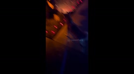 Shiba Inu Was Not Prepared for Halloween Frights