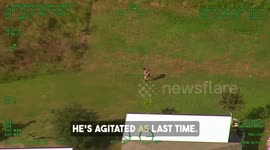 US: Missing Autistic Juvenile Found Safe in Riverview After Multi-Agency Search