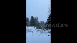US: Parts Of Northwestern Idaho Receive Heavy Snow On Election Day