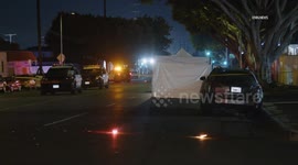 US, Los Angeles: Green Meadows Pedestrian Struck and Killed in Hit And Run