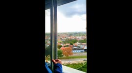 Eagles regularly return to resident's balcony to hand fed meat