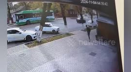 Man narrowly avoids being crushed under falling tree that lands just inches from him