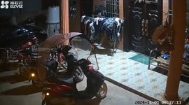 Homeowner runs back in his house when he sees intruder elephant coming towards him