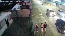 Quick-thinking woman hoists up her puppy to save it from pit bull attack