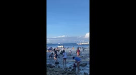 Frantic locals catch thousands of fish washed up on shore