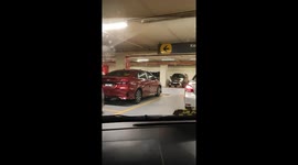 Huge python hogs parking space in Malaysia