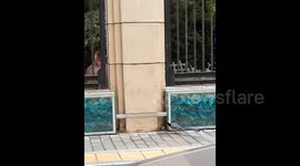 Vibrant bird caught hiding fruit under leaves on street in China