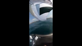 Unbelievable moment windsurfer taken out by huge humpback whale