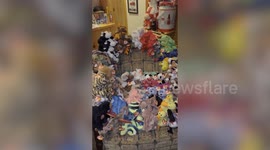 Woman sells 1,100 Beanie Babies collection and makes a whopping $4.3k