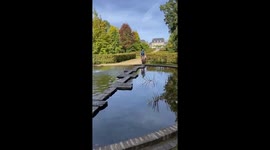 Bicyclist Falls Into Pond