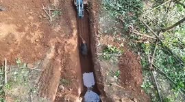 Baby elephant rescued from hole and reunited with mother