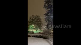 US: November Storm Brings Snowfall Across Colorado 4