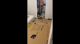 Cat Dad Creates Cardboard Enrichment
