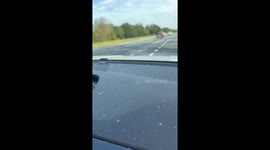 Car's Windshield Shattered by Flying Turtle
