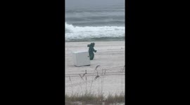 Triceratops Spotted at the Beach