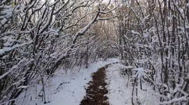 Winter wonderland today in the Habitat Conservation Area of Wascana Park in Regina Saskatchewan Neo Drone View in 4K