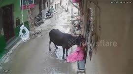 Elderly woman defends herself against bull attack in India