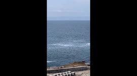 Breaching humpback whale wows restaurant guests jumping from sea multiple times