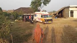 Woman mauled by fox in central India, family member suffers multiple bite wounds too