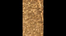 Three dogs walk on Giza Pyramid
