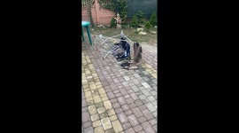 Cat sleeping on overturned drier in Chernivtsi, Ukraine