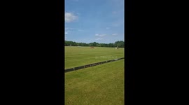 Lamborghini races horse at Polo Event in Little Hadham, UK