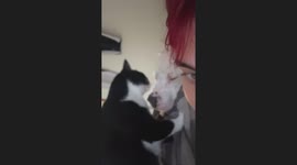 Exclusive- Unusual sound caught during adorable grooming session