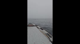 Polar Bear Swims In Open Waters