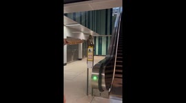 Monkey steals bun from store and escapes by scaling escalator