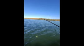 Two Bass, One Lure