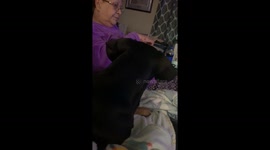 Talking Dog Says Thank You